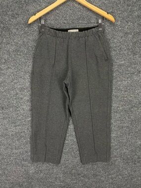 Everlane Pants Women’s S Gray The Dream Pant Cropped Stretch Comfort Pull On EXC